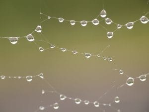 rain-955956_1280