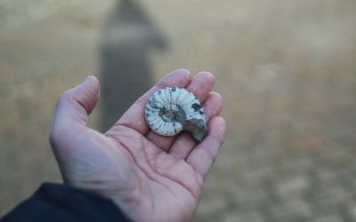 3D Ideas 1053 : Disturbance