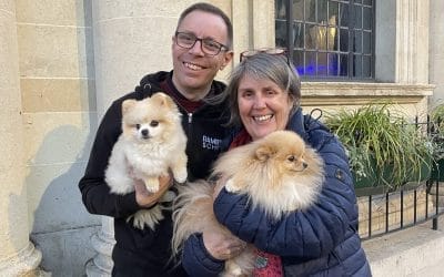 3D Ideas 1068 : October Highlights