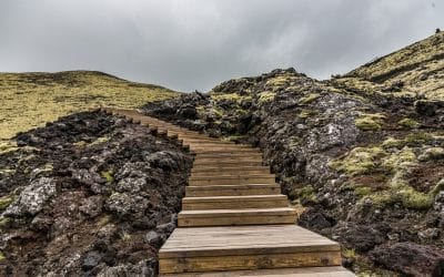 3D Ideas 1079 : Accidental Manager?