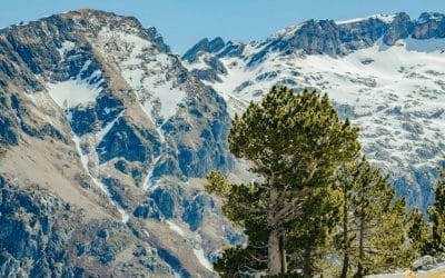 3D Ideas 1110 – Gibberish