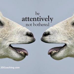 Masterclass 2.7 Coaching Presence