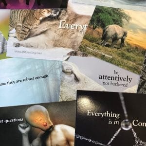 Coaching Philosophy - Postcards