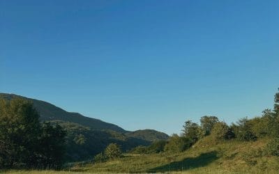 3D Ideas 1120 – Thinker Stuff