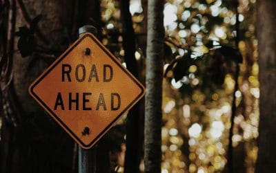 3D Ideas 1124 – New Year