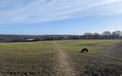 3D Ideas 1136 – March Highlights