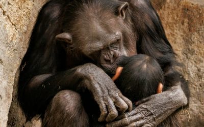 3D IDeas 1161 – Back to work?